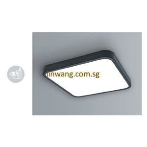 LED Ceiling Light 24W / 30W LMN3830SQ Black
