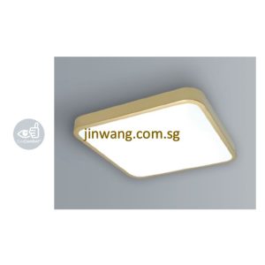 LED Ceiling Light 24W / 30W LMN3830SQ Gold