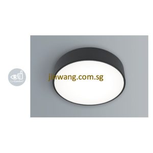 LED Ceiling Light LMN218RD White / Black 24W 3000K / 4000K / 6500K