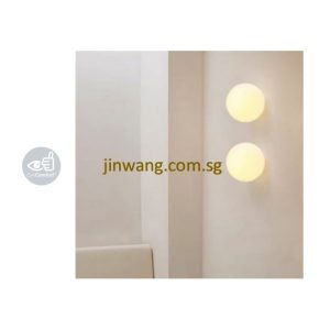 LED Wall Light / LED Ceiling Light LMN2803