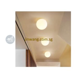 LED Wall Light / LED Ceiling Light LMN2806