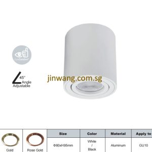 Spotlight with GU10 Holder LMN712RD White