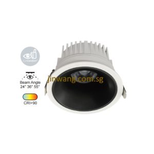 Downlight 10W RGB / RGB With Remote Control LMN723 White Black