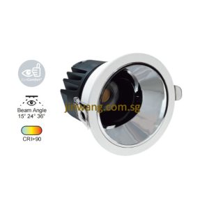 Downlight 13W RGB / RGB With Remote Control LMN727 White Silver