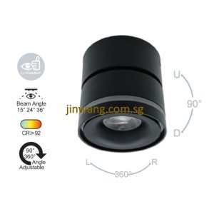 Spotlight 12W RGB / RGB with Remote Control LMN780 Black
