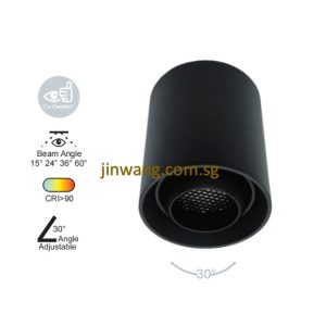 Spotlight 12W RGB / RGB with Remote Control LMN781 Black