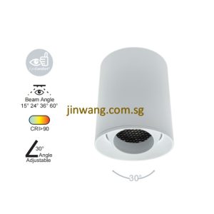 Spotlight 12W RGB / RGB with Remote Control LMN781 White