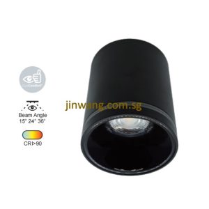 Spotlight 12W RGB / RGB with Remote Control LMN782 Black