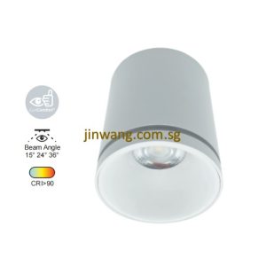 Spotlight 12W RGB / RGB with Remote Control LMN782 White