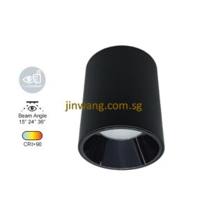 Spotlight 12W RGB / RGB with Remote Control LMN783 Black