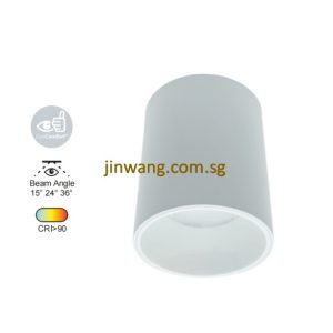Spotlight 12W RGB / RGB with Remote Control LMN783 White