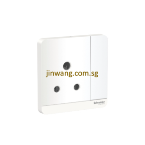 Schneider Avatar On 1X15A 250V Switched Socket White E8315_15_WE_G2