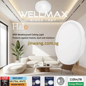 High Quality 3in1 IP54 Weatherproof Ceiling Light 25W / 40W Selected Light