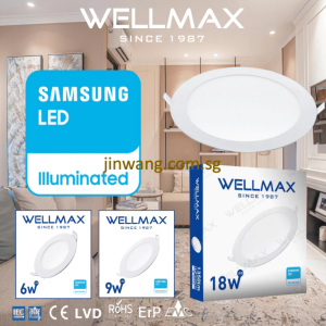 High Quality WELLMAX Samsung LED Aluminium Recessed Downlight 6W/9W/18W 6500K