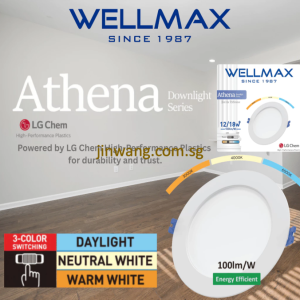 High Quality WELLMAX Athena Series Recessed LED Downlight 6W/12W/18W/24W