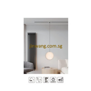 Ultra-Narrow Magnetic Track System Spherical Pendant Earth Light 6W RGB Optional Remote Control LMNHS10-D150 Black